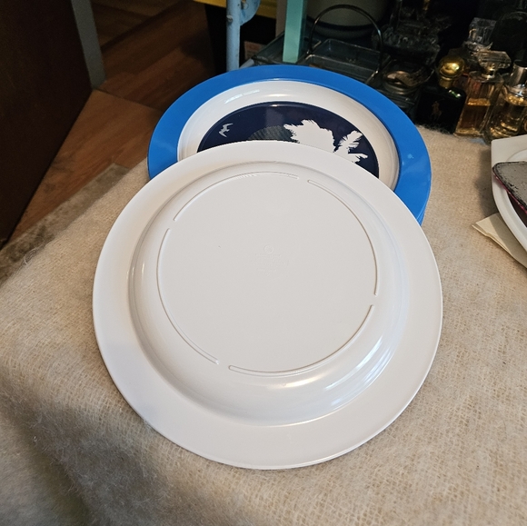 1980s Picnic/Patio Plates - Picture 2 of 3